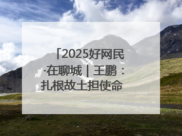 2025好网民·在聊城｜王鹏：扎根故土担使命 妙笔著文扬正气