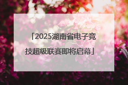 2025湖南省电子竞技超级联赛即将启幕