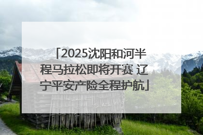 2025沈阳和河半程马拉松即将开赛 辽宁平安产险全程护航