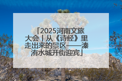 2025河南文旅大会丨从《诗经》里走出来的景区——溱洧水城开街迎宾