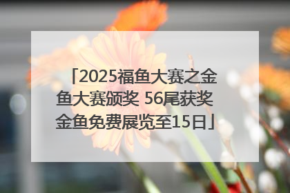 2025福鱼大赛之金鱼大赛颁奖 56尾获奖金鱼免费展览至15日