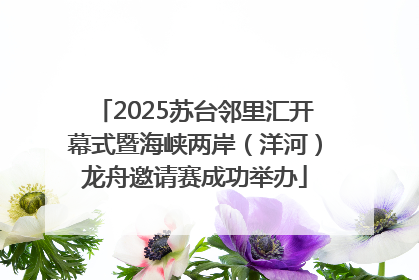 2025苏台邻里汇开幕式暨海峡两岸（洋河）龙舟邀请赛成功举办