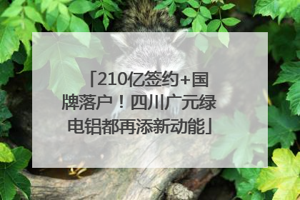 210亿签约+国牌落户！四川广元绿电铝都再添新动能