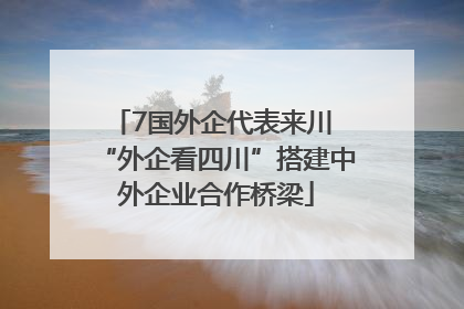 7国外企代表来川 “外企看四川”搭建中外企业合作桥梁