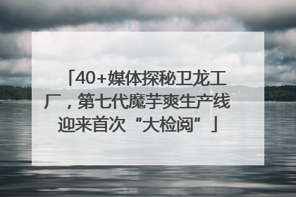 40+媒体探秘卫龙工厂，第七代魔芋爽生产线迎来首次“大检阅”
