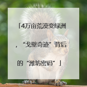 4万亩荒漠变绿洲，“戈壁奇迹”背后的“潍坊密码”
