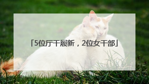 5位厅干履新，2位女干部