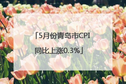 5月份青岛市CPI同比上涨0.3%