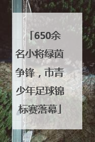 650余名小将绿茵争锋，市青少年足球锦标赛落幕