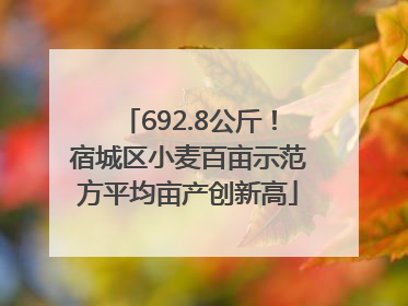 692.8公斤！宿城区小麦百亩示范方平均亩产创新高
