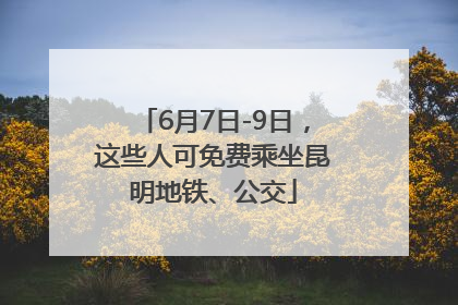 6月7日-9日，这些人可免费乘坐昆明地铁、公交