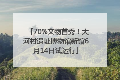 70%文物首秀！大河村遗址博物馆新馆6月14日试运行