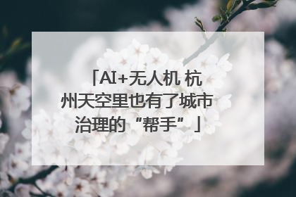 AI+无人机 杭州天空里也有了城市治理的“帮手”