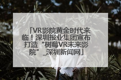 VR影院黄金时代来临！深圳报业集团宣布打造“树莓VR未来影院”_深圳新闻网
